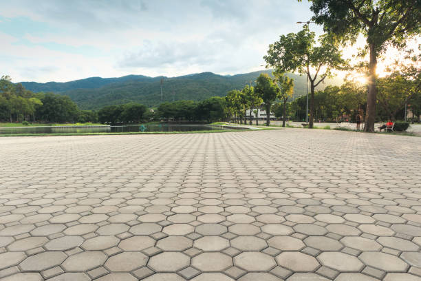 Best Interlocking Driveway Pavers  in Plumas Lake, CA